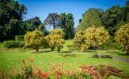 peradeniya
